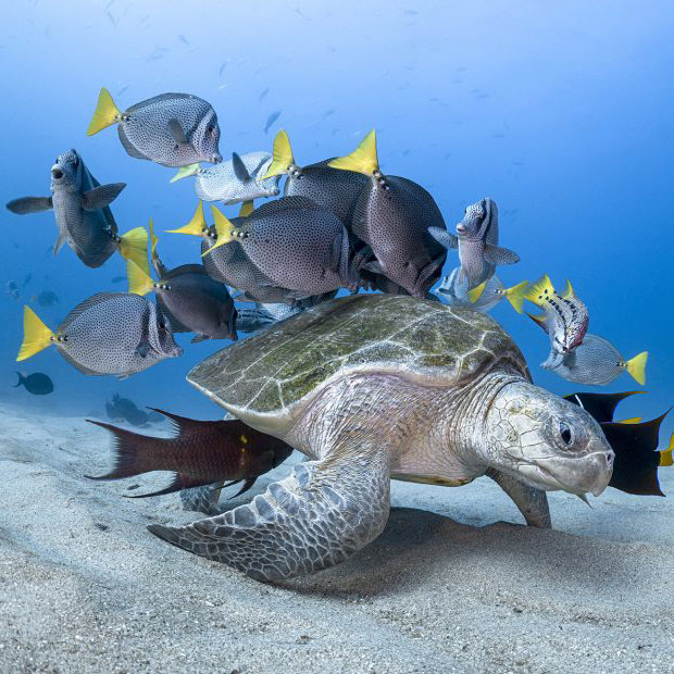 The-Watch-Forum-2022,-by-Watches-and-Culture,-le-pôle-culturel-de-la-FHH.