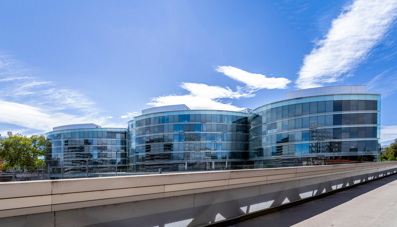 <strong>Welcome-to-the-first-edition-of-WJI-2030-Insight on-the-occasion-of-International-Human-Rights-Day.</strong>