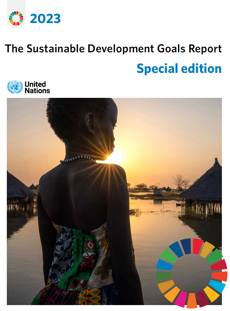 Document titled Sustainable Development Goals Report