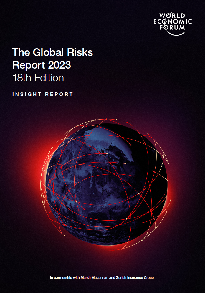 Document titled The Global Risks Report 2030