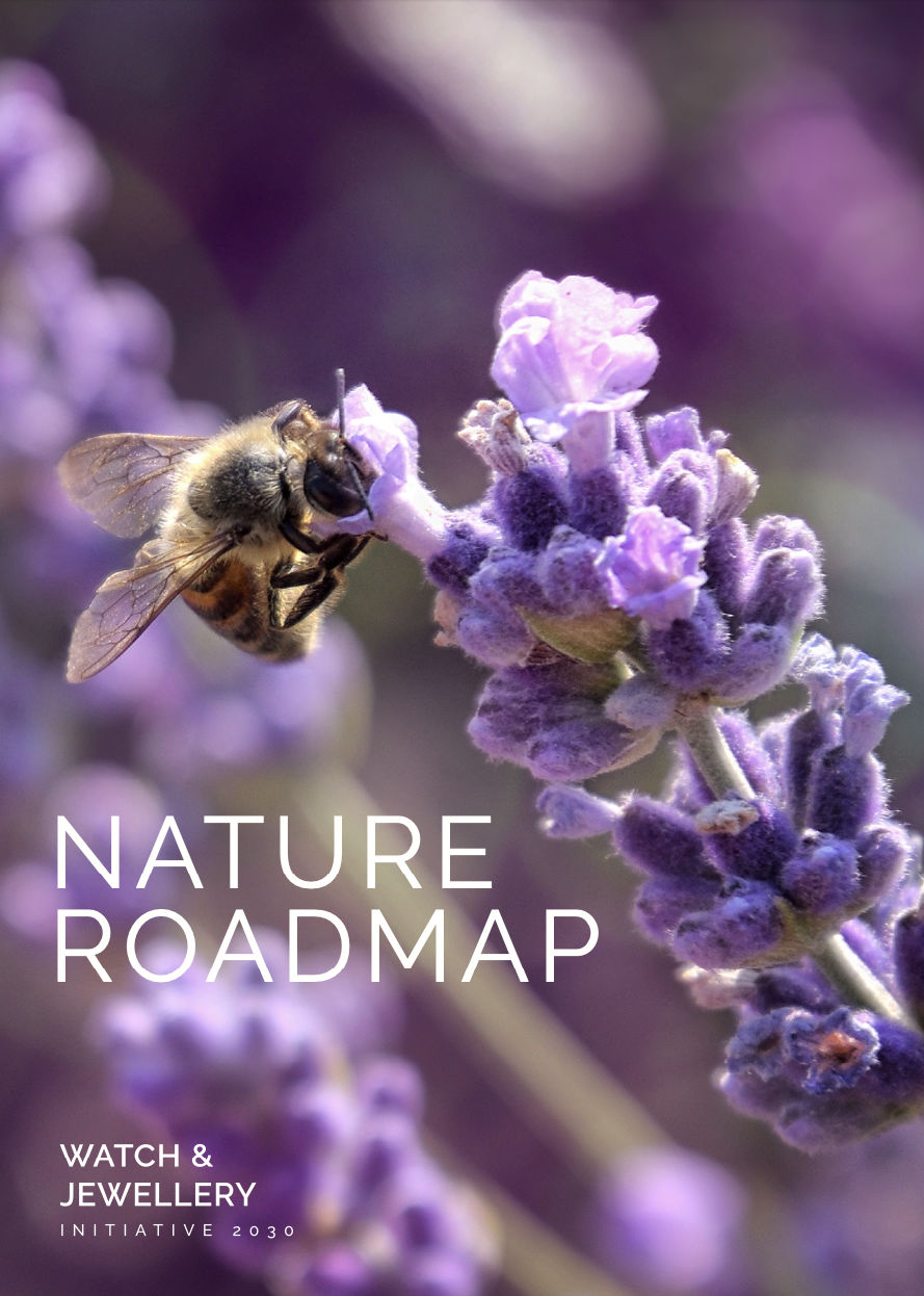 Document titled Nature Roadmap