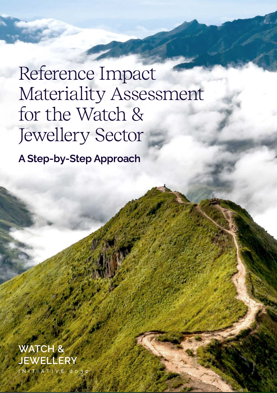 Impact-Assessment-Guide